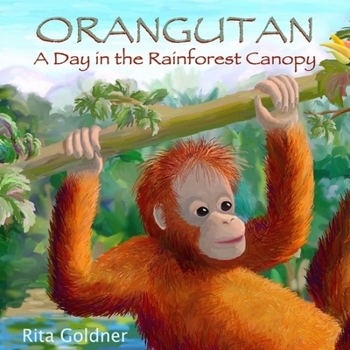 Paperback Orangutan: A Day in the Rainforest Canopy Book