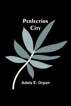 Paperback Perfection City Book