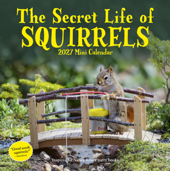 Mini-Disc Secret Life of Squirrels Mini Calendar 2027: Mini Scenes, Mega Cuteness Book