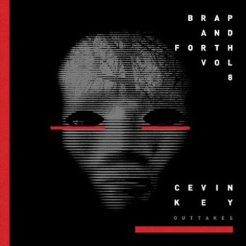 Vinyl Brap And Fort: Vol. 8 Book
