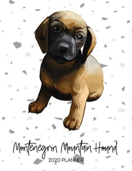 Paperback Montenegrin Mountain Hound 2020 Planner: Dated Weekly Diary With To Do Notes & Dog Quotes Book