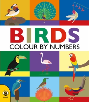 Paperback Birds: Colour by Numbers Book