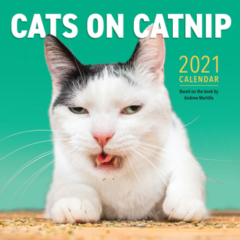 Calendar Cats on Catnip Wall Calendar 2021 Book