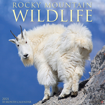 Rocky Mountain Wildlife 2021 Wall Calendar