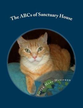 Paperback The ABCs of Sanctuary House Book