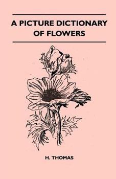 Paperback A Picture Dictionary of Flowers Book