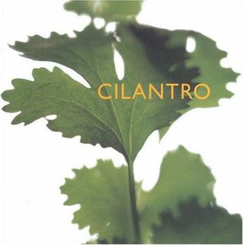 Cilantro