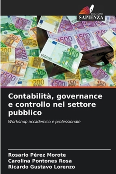 Paperback Contabilità, governance e controllo nel settore pubblico [Italian] Book