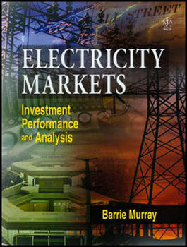 Hardcover Electricity Markets: Investment, Performance and Analysis Book