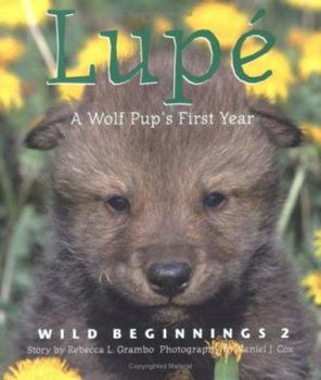 Paperback Lupe: A Wolf Cub's First Year Book