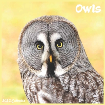 Owls Calendar 2022: Official Owls Birds 2022 Calendar, 16 Month