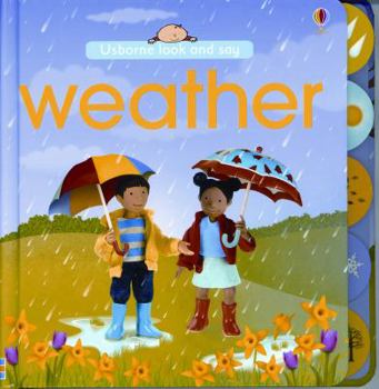 Board book Weather Book