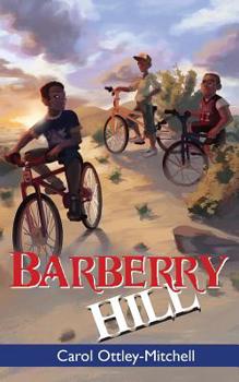 Paperback Barberry Hill Book