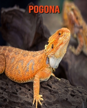 Pogona: Recueil pour Enfants de Belles Images & d'Informations Int?ressantes Concernant les Pogona