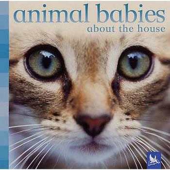 Board book Animal Babies about the House. Vicky Weber Book