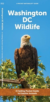 Washington DC Wildlife: A Folding Pocket Guide to Familiar Animals