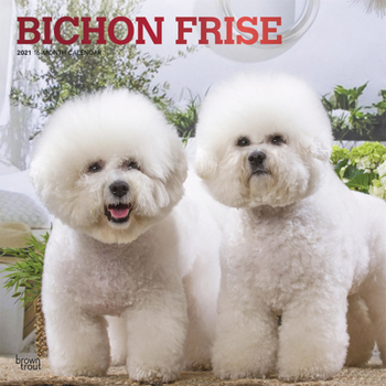 Calendar Bichon Frise 2021 Square Foil Book