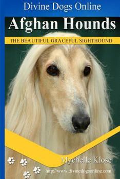 Paperback Afghan Hounds: Divine Dogs Online Book