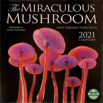 Calendar Miraculous Mushroom 2021 Wall Calendar: With Fabulous Fungi Facts Book