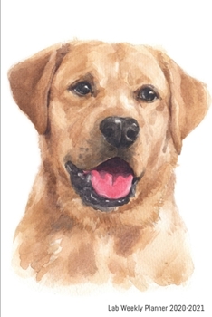 Lab Weekly Planner 2020-2021: Labrador Retriever Lover Notebook Gift, Two Year Weekly Planner With 2 Year Calendar 2020 2021, Size 6 X 9 Inch