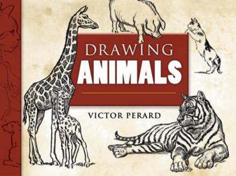 Paperback Drawing Animals Book