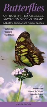 Butterflies of South Texas Incl. the Lower Rio Grande Valley: A Guide to Common & Notable Species