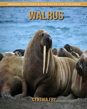 Walrus: Amazing Pictures & Fun Facts for Children