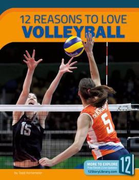 Library Binding 12 Reasons to Love Volleyball Book