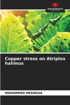 Paperback Copper stress on Atriplex halimus Book