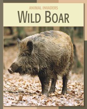 Library Binding Wild Boar Book