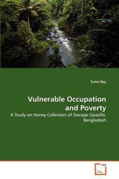 Paperback Vulnerable Occupation and Poverty Book