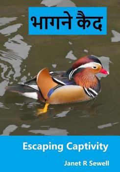 Paperback Escaping Captivity: A Simple Guide to Becoming Whole in Christ [Hindi] Book