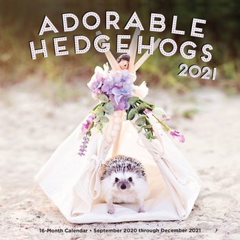 Calendar Adorable Hedgehogs 2021: 16-Month Calendar - September 2020 Through December 2021 Book