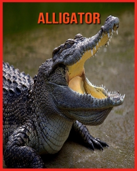 Alligator: Amazing Facts about Alligator