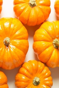 2020 Daily Planner Pretty Landscaping Autumn 388 Pages: 2020 Planners Calendars Organizers Datebooks Appointment Books Agendas