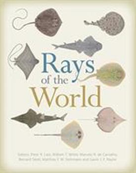 Hardcover Rays of the World Book