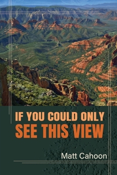 Paperback If You Could Only See This View Book