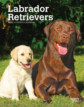 Calendar Labrador Retrievers 2021 Engagement Book