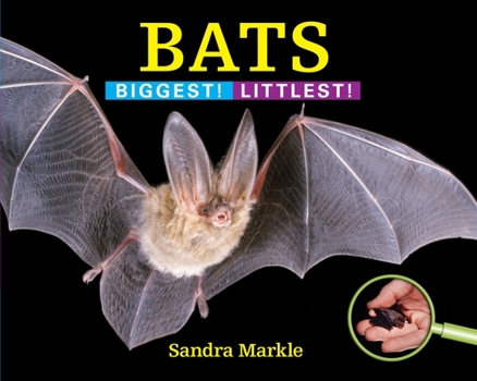 Hardcover Bats: Biggest! Littlest! Book