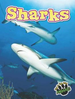 Library Binding Sharks Book