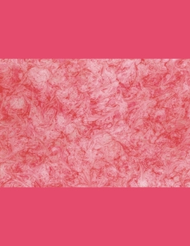 Paperback The Notebook Book