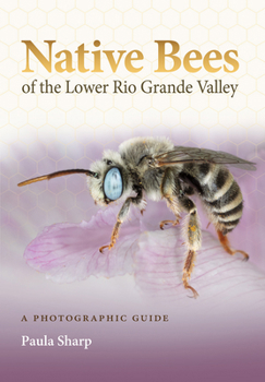 Paperback Native Bees of the Lower Rio Grande Valley: A Photographic Guide Book