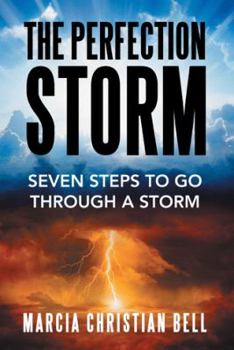 Paperback The Perfection Storm: Seven Steps to Go Through a Storm Book