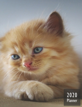 2020 PLANNER Kitten: Gifts For Cat Lovers Monthly Weekly Daily and Hourly Planners 2020 Calendar from Jan 1 2020 to Dec 2020  Note Pages To-Do List ... Themed Gifts Cover for Cat Lovers Version 3