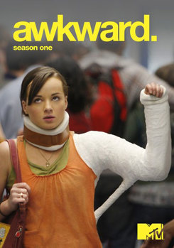 DVD Awkward: Season One Book