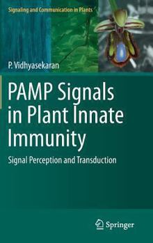 Hardcover Pamp Signals in Plant Innate Immunity: Signal Perception and Transduction Book