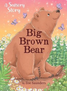 Hardcover Big Brown Bear Book