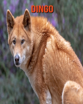 Paperback Dingo: Sch?ne Bilder & Kinderbuch mit interessanten Fakten ?ber Dingo [German] Book