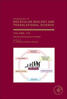 Hardcover Molecular Biology of Aging: Volume 146 Book