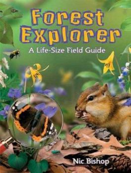 Forest Explorer: A Life-sized Field Guide (Forest Explorer) - Book  of the Scholastic Reader